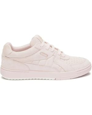 Palm Angels Women Univ Origin Suede Sneakers - Pink