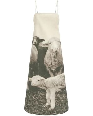 Moschino Printed Cotton Gabardine Dress - White