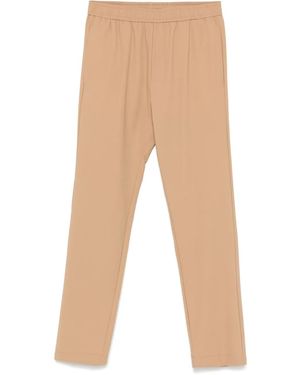 Pmds Steve Hose - Natur