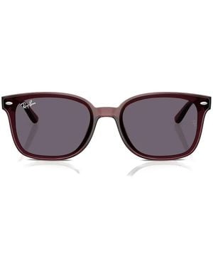 Ray-Ban Rb4461D Zonnebril - Bruin