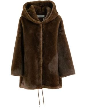Bully Hooded Coat - Brown