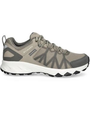 Columbia Peakfreak Ii Outdry Sneakers Met Mesh Vlakken - Grijs