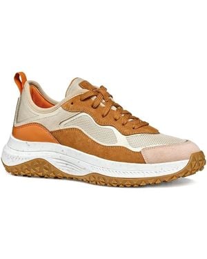 Geox Oliveira Trainers - Brown