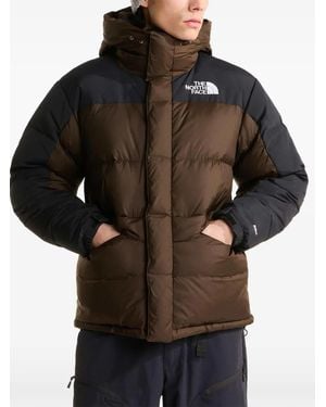 The North Face Parka Hmlyn Acolchada - Negro