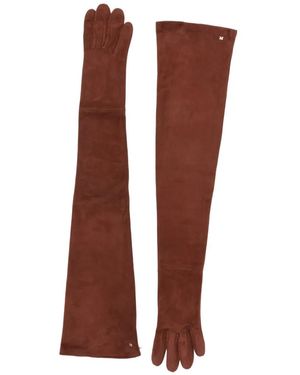 Max Mara Logo-Plaque Long Gloves - Brown