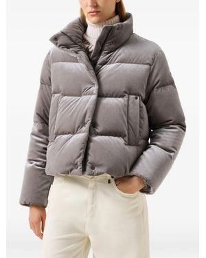Bogner Plumífero Oliva De Terciopelo - Gris