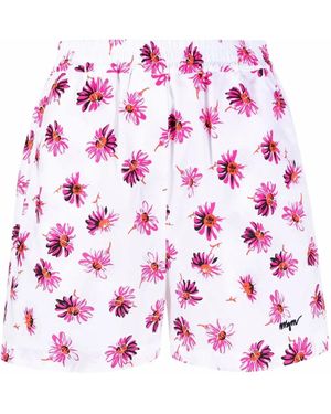 MSGM Floral-Print Cotton Shorts - Pink