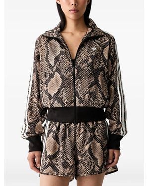 adidas Satin Snake-Print Firebird Track Jacket - Black