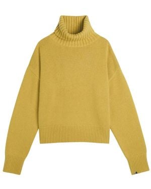 Extreme Cashmere Pull À Col Roulé - Yellow