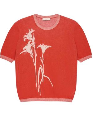 Zanone Lily T-Shirt Met Jacquard - Rood