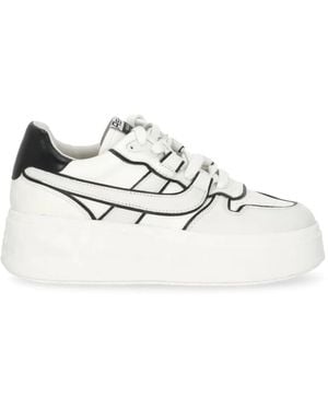 Ash Sneakers mit runder Kappe - Weiß