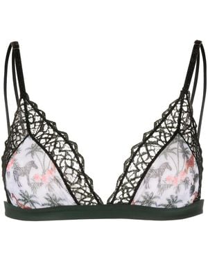 Dolci Follie Triangel-Bh Mit Zebra-Print - Schwarz