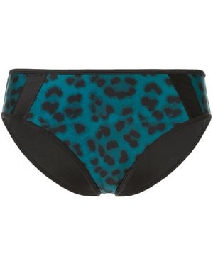 Duskii Océane Brief Bottoms - Blue