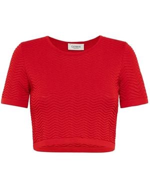 Laneus Knit Cropped T-Shirt - Red