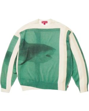 Supreme X Damien Hirst Intarsia-Knit Sweater - Green