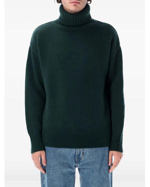Extreme Cashmere Oversiz Extra Roll-Neck Sweater - Green