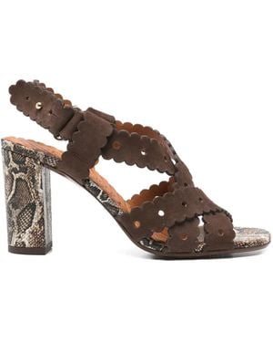 Chie Mihara Scalloped Snakeskin Sandals - Brown