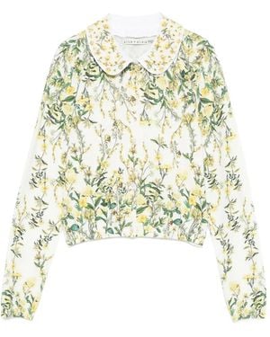 Alice + Olivia Printed Collar Cardigan - White