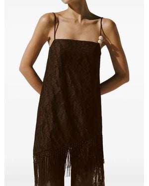 Baobab Noe Fringe-Detail Lace Top - Brown