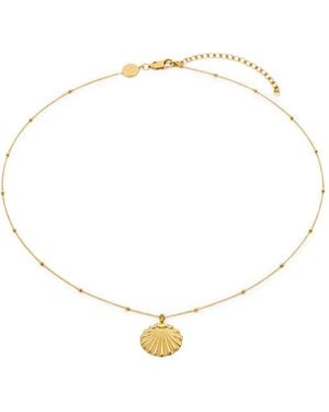 Yoj Conchigla Shell-Pendant Necklace - Metallic