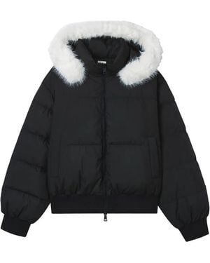 B+ AB Hooded Puffer Jacket - Black