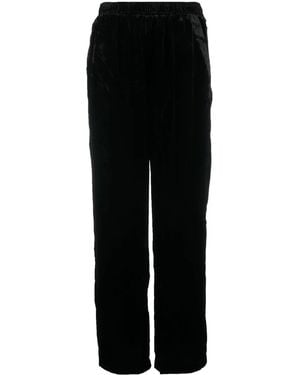 Gold Hawk Velvet Trousers - Black