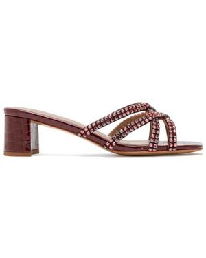 Nicoli Sandales À Brides Croisées - Brown