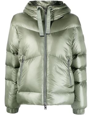 Woolrich Plumífero Corto Aliquippa Short - Verde