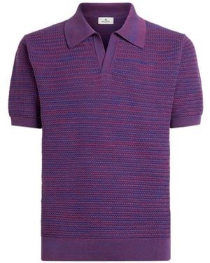 Etro V-Neck Short-Sleeved Knitted Jumper - Purple
