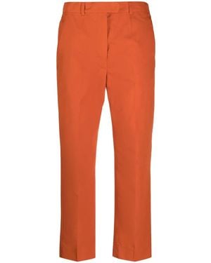 Max Mara Pantalon De Tailleur À Coupe Courte - Orange