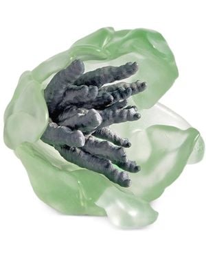 La Manso X Tetier Parrot Growing Ring - Groen