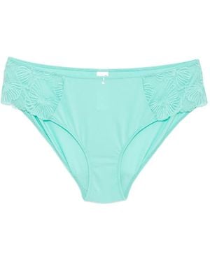 Wacoal Cateline Briefs - Blue