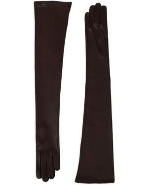 Petar Petrov Opera Long Gloves - Black