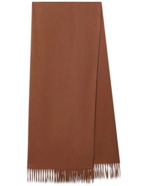 Max Mara Schal Mit Logo-Stickerei - Braun