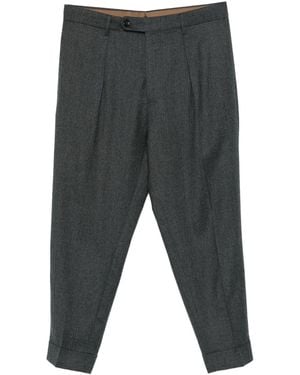Berwich Chiaia Pleated Trousers - Grey