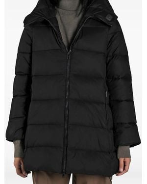 Canadian Lewisporte 2 Jacket - Black