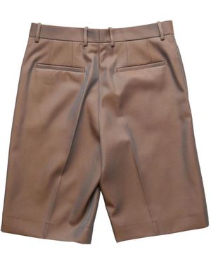 Jil Sander Iridescent Shorts - Brown