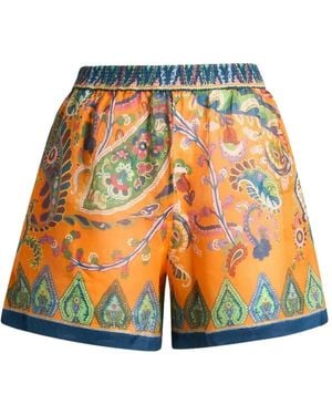 Etro Pantalones Cortos Con Cordones Estampados - Multicolor