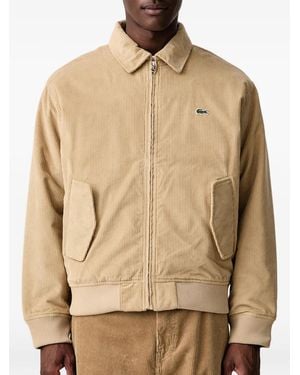 Lacoste Padded Corduroy Bomber Jacket - Natural