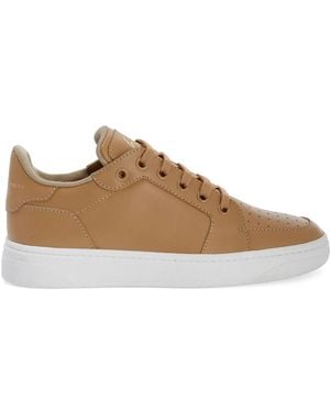Giuseppe Zanotti Perforierte Sneakers - Braun