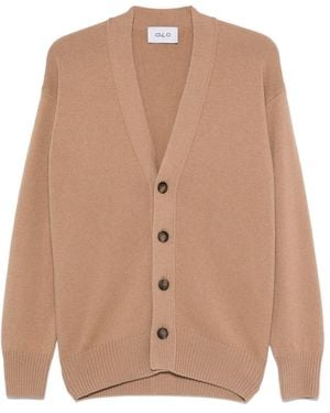 D4.0 Virgin-Wool Cardigan - Brown