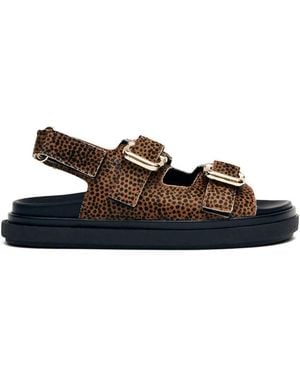 Alohas Harper Sandals - Brown