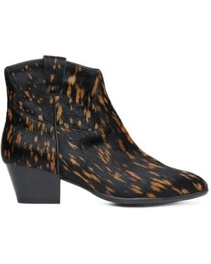 Ash Leopard-Print Ankle Boots - Black