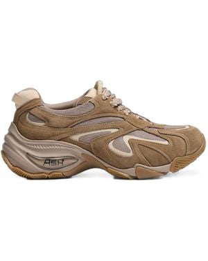 Ash Viper Paneled Sneakers - Brown
