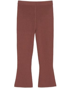 Apparis Desi Cropped Trousers - Red