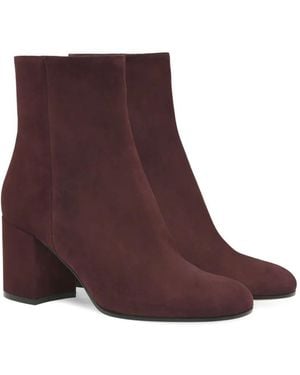 Gianvito Rossi Stiefeletten Mit Blockabsatz - Lila