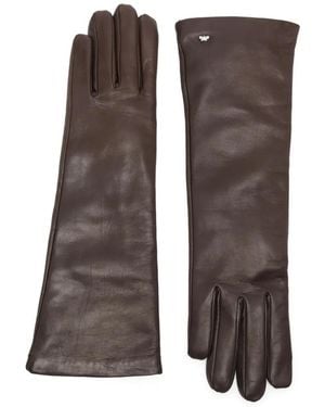 Max Mara Senape Long Length Gloves - Brown