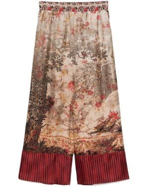 Pierre Louis Mascia Aloe Hose - Rot
