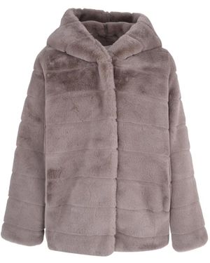 Apparis Goldy Jacket - Brown