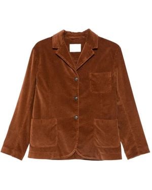 Circolo 1901 Corduroy Single-Breasted Blazer - Brown